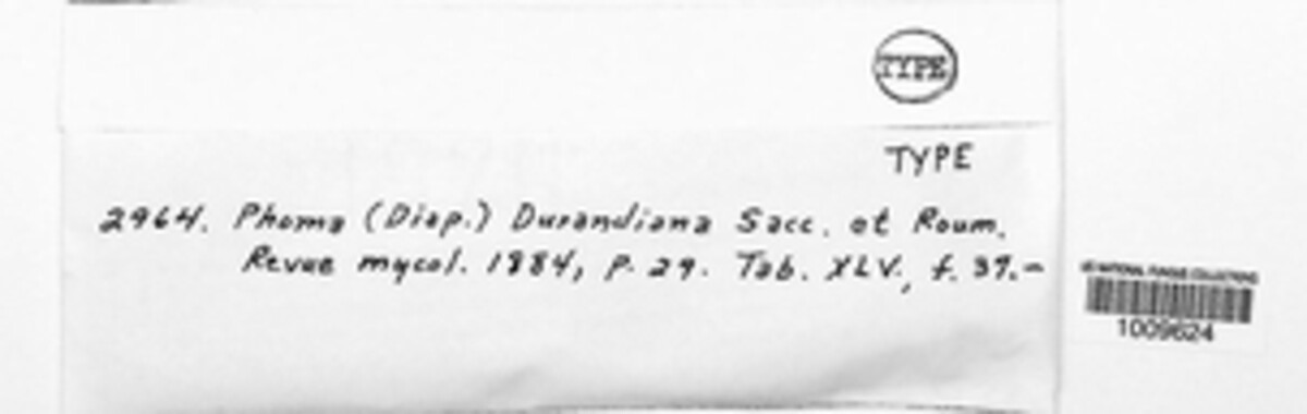 Phomopsis durandiana image